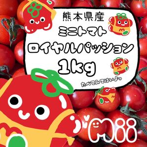 ★★ 熊本県産 ミニトマト 1kg ★★