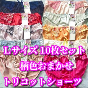 Lサイズ☆10枚セット トリコット生地 まとめ売り フルバックショーツ レース花柄 福袋 デイリーショーツ 柄色おまかせ②