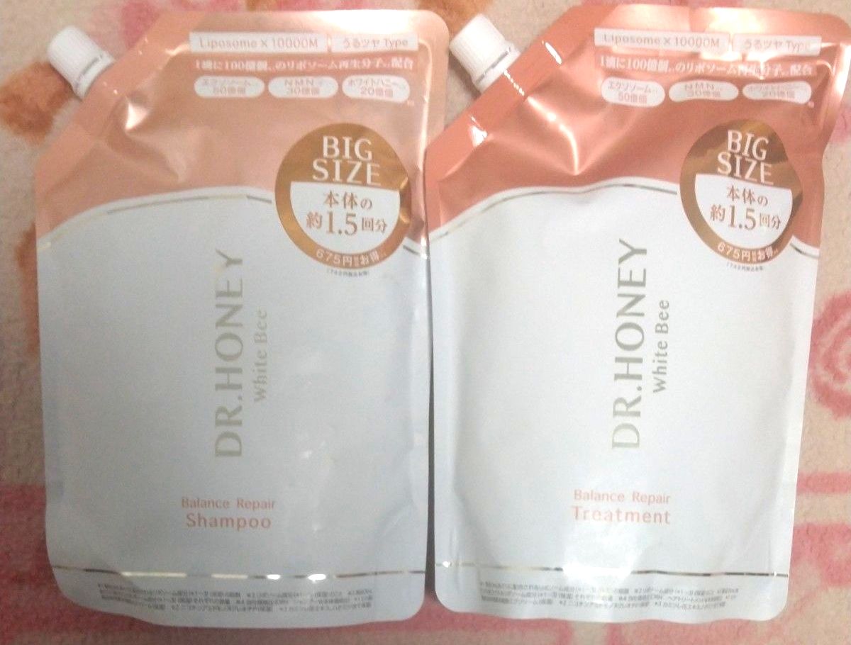 コアミー リペアティブ HD 1000ml 詰め替えセット アリミノ