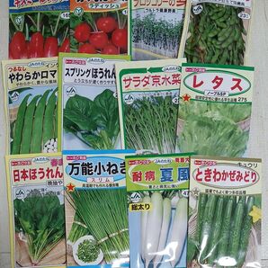 日本ほうれん草