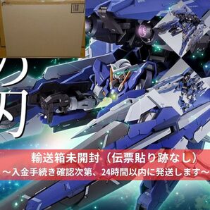 【輸送箱未開封】METAL BUILD(メタルビルド) GNアームズ TYPE-E(機動戦士ガンダムOO)