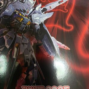 METAL BUILD プロヴィデンスガンダム CLIMAX BATTLE ver.