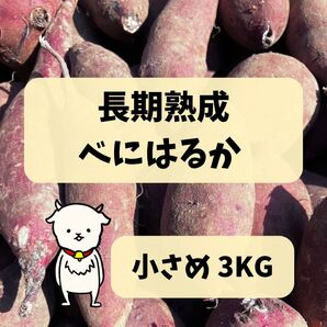 長期熟成 小さめべにはるか 3kg