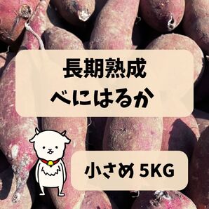 長期熟成 小さめ べにはるか 5kg