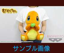 新品 未開封 ポケットモンスター もぐもぐタイム めちゃでか ヒトカゲ ぬいぐるみ 34㎝ 非売品 ポケモン レア BIGサイズ_画像5