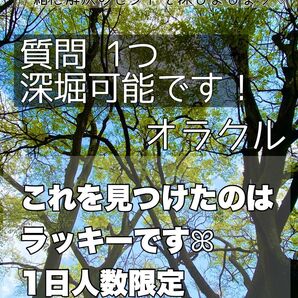〈1日人数限定〉オラクル 1質問 深掘/恋愛運/金運/仕事運/全体運