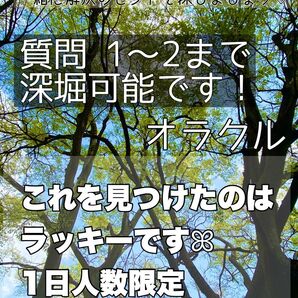 〈1日人数限定〉オラクル 1〜2質問 深掘り/恋愛運/金運/仕事運/全体運