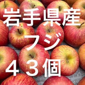 【岩手県産】りんご「フジ」43個 約13.5kg 家庭用・加工用