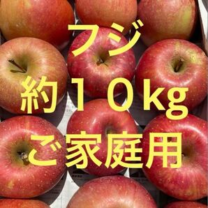 【岩手県産】りんご「フジ」32〜33個 約10kg 家庭用・加工用