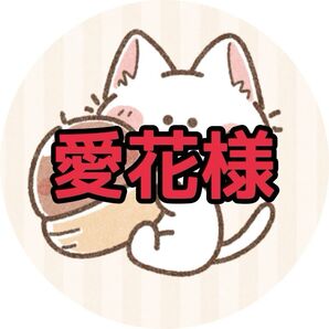 11/13 愛花様(12/4)