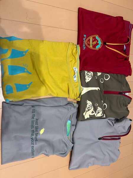 フィンチ5着セット マルチェナ、イザベラなど Tシャツインナークールドライ