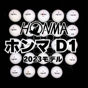 108※2023モデル ホンマD1 ロストボール24球