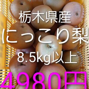 栃木県産 にっこり梨 にっこり 梨 8.5kg以上