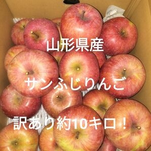 山形県産 サンふじりんご 訳あり約10キロ!
