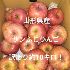 山形県産 サンふじりんご 訳あり約10キロ!