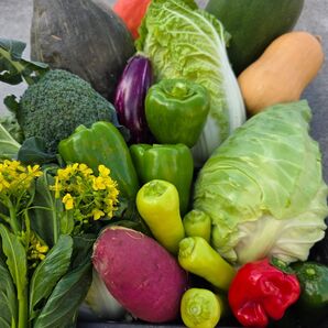 野菜セット