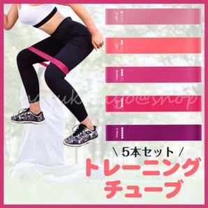トレーニングチューブ 5本 エクササイズ 体幹 筋トレ ダイエット ヨガ ゴムバンド ダイエット 軽量 伸縮 初心者 上級者