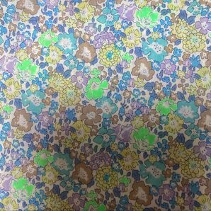 リバティタナローン