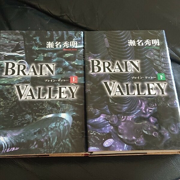 BRAIN VALLEY 上下巻セット