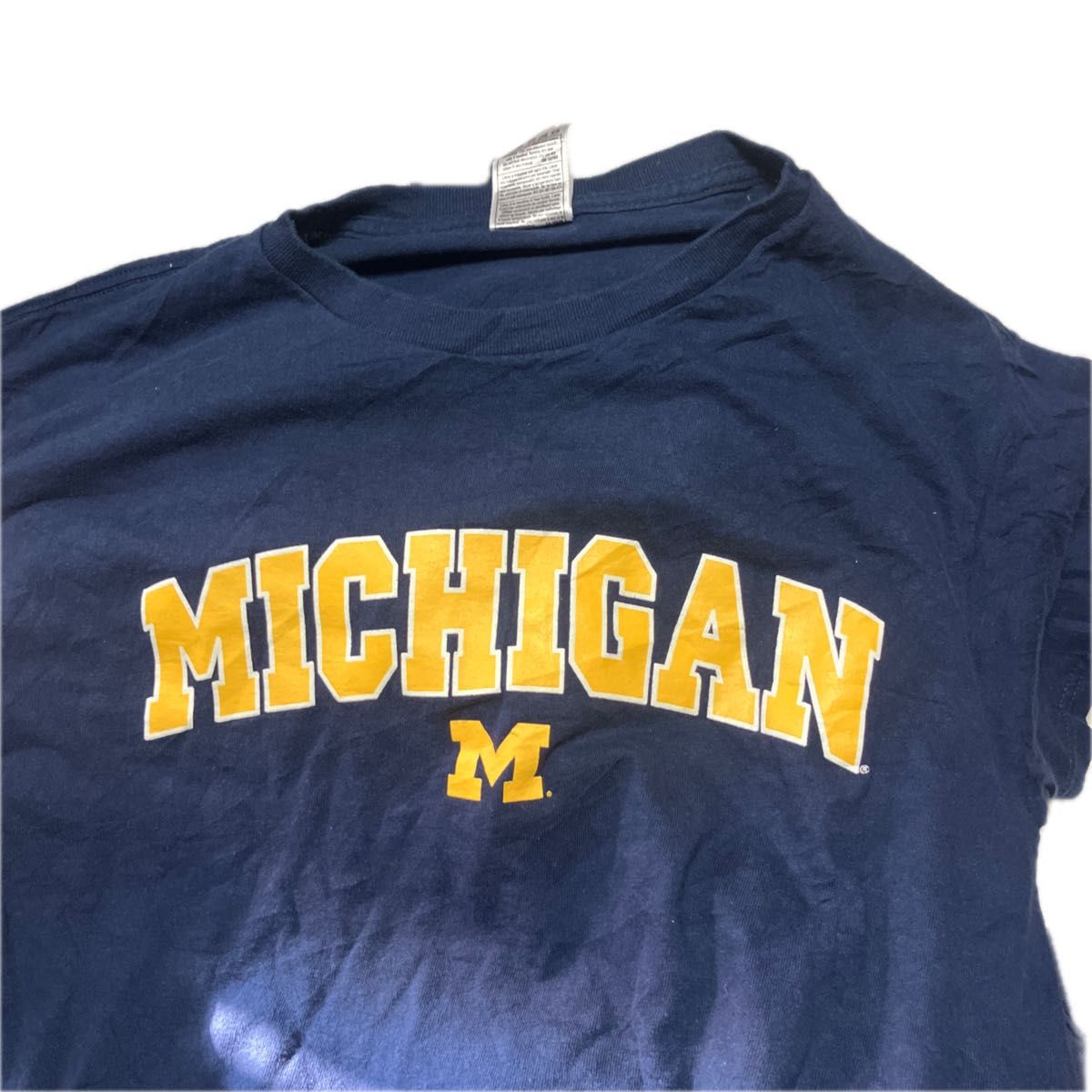 アメリカ古着　フルーツオブザルーム　ミシガン大学　カレッジロゴ　半袖　クルーネック　 Tシャツ MICHIGAN M 断捨離