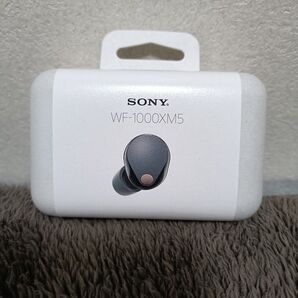 SONY ワイヤレスイヤホン WF-1000XM5