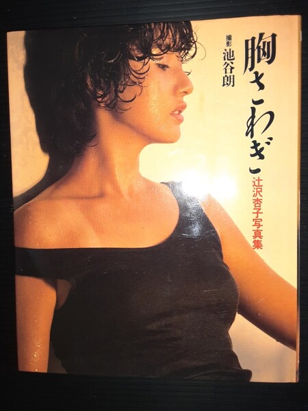 辻沢 杏子写真集