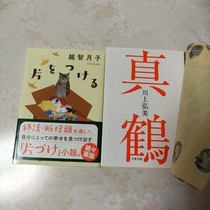 片をつける (ポプラ文庫 お19-1) 越智月子/〔著〕 おまけ一冊