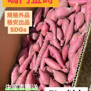 鳴門金時 規格外品 5kg SDGs