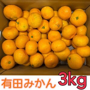 和歌山 高糖度 有田みかん