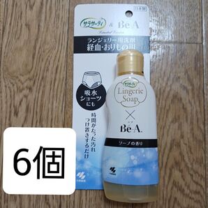 サラサーティ ランジェリー用洗剤 6個
