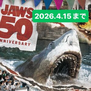 USJ ユニバーサルスタジオジャパン パートナーフリーパス チケット 大人1枚 ミニオン ジョーズ ハリポタ