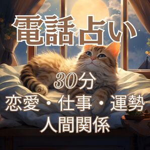 30分 電話占い 鑑定 霊感タロット・チャネリング 恋愛・仕事・人間関係
