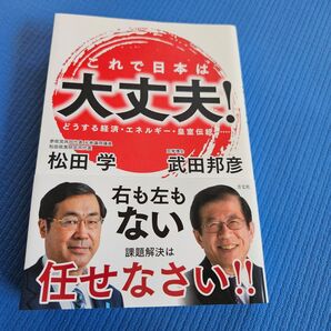 これで日本は大丈夫! どうする経済・エネルギー・皇室伝統…… 松田学/著 武田邦彦/著