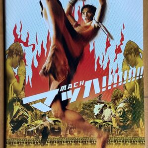 映画パンフレット 「マッハ!!!!!!!! 」タイ映画 アクション トニージャー