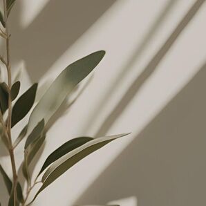 kaor_i.35 sama専用