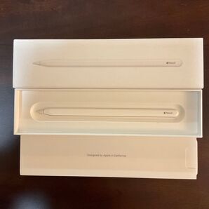 美品 Apple Pencil 第二世代 MU8F2J/A