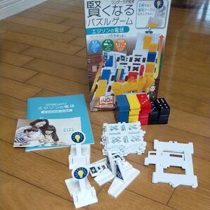 ハナヤマ ロジカルニュートン 賢くなるパズルゲーム エジソンの電球