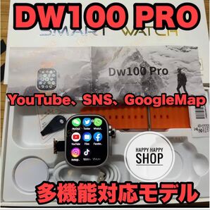 DW100 PRO 本体カラーシルバーYouTube SNS 対応モデル