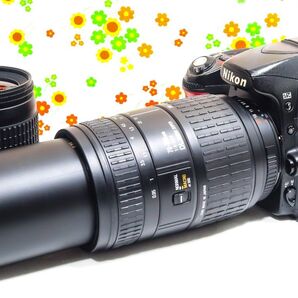 ニコン Nikon D80☆スマホに転送☆300㎜超望遠レンズ付☆初心者おすすめ