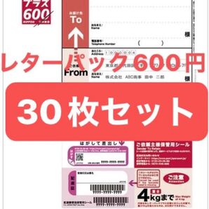 日本郵便 レターパックプラス 600円 未使用 新料金 現行柄 料額