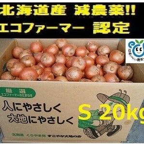 北海道産玉ねぎ20kgSサイズ