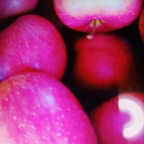 岩手県産 ご家庭用訳あり りんご 詰め合わせ 箱込み6キロくらい