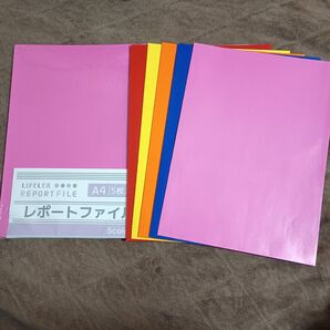 レポートファイル 10枚 ペーパーファイルLIFELEX