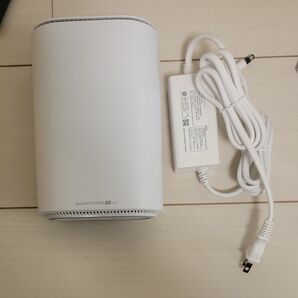 ホームルーター Speed Wi-Fi ZTR01 ホワイト L11 ZTE