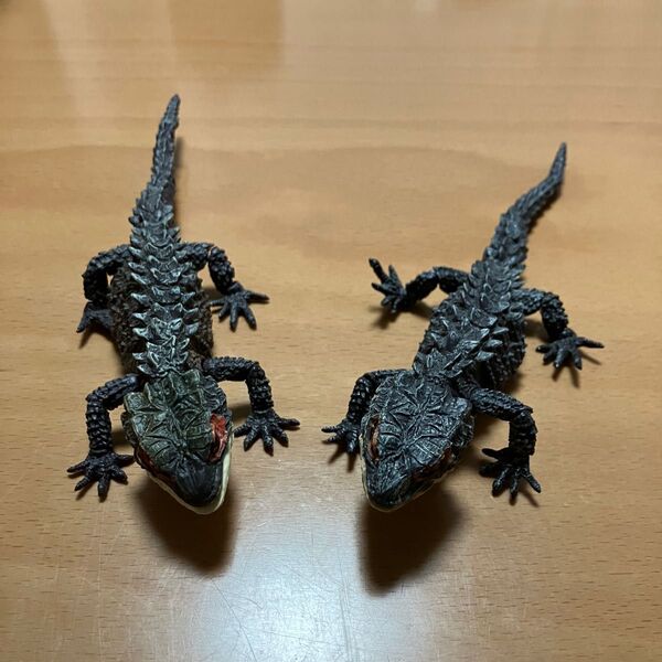 いきもの大図鑑アドバンス アカメカブトトカゲ フィギュア 2体 トカゲ