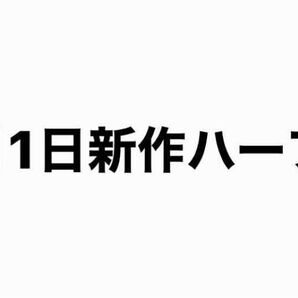 11月1日新作ハーフ