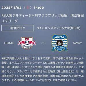 J2リーグ 2025/11/02 大宮アルディージャ対ブラウブリッツ秋田 ホームサポーターゾーン2枚