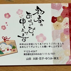 年賀状印刷 差出人印刷無料 10枚