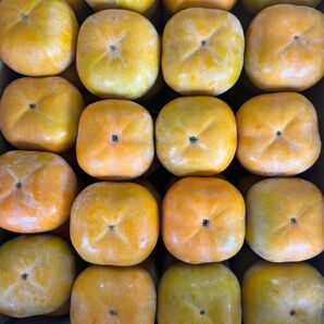 三重県産 かた〜い柿 次郎柿 約1kg(綺麗目)