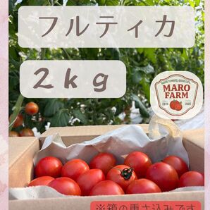 千葉県産 中玉トマト フルティカ 2kg (箱込み)
